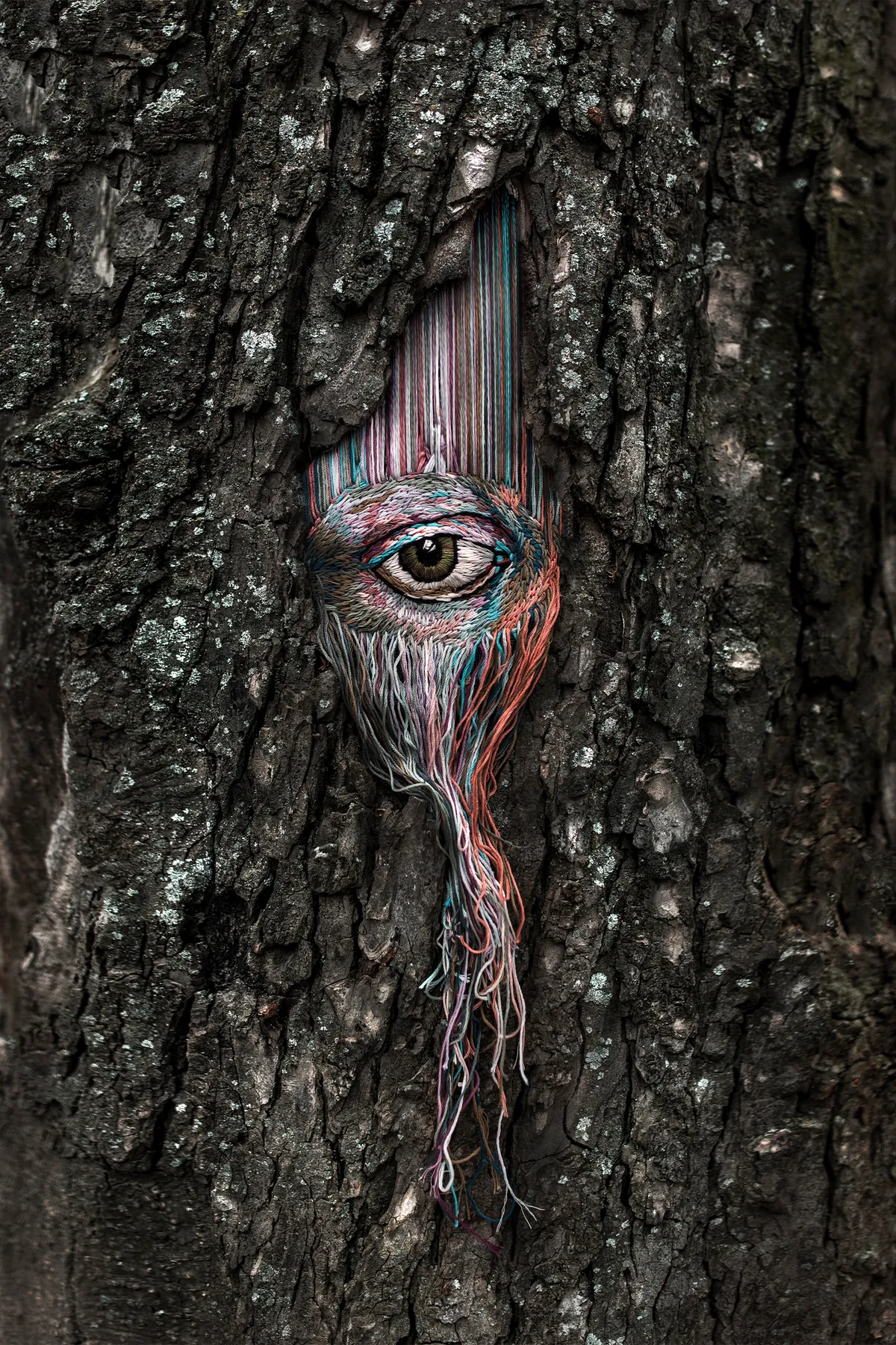 Multitudes of life, hidden in the plain sight