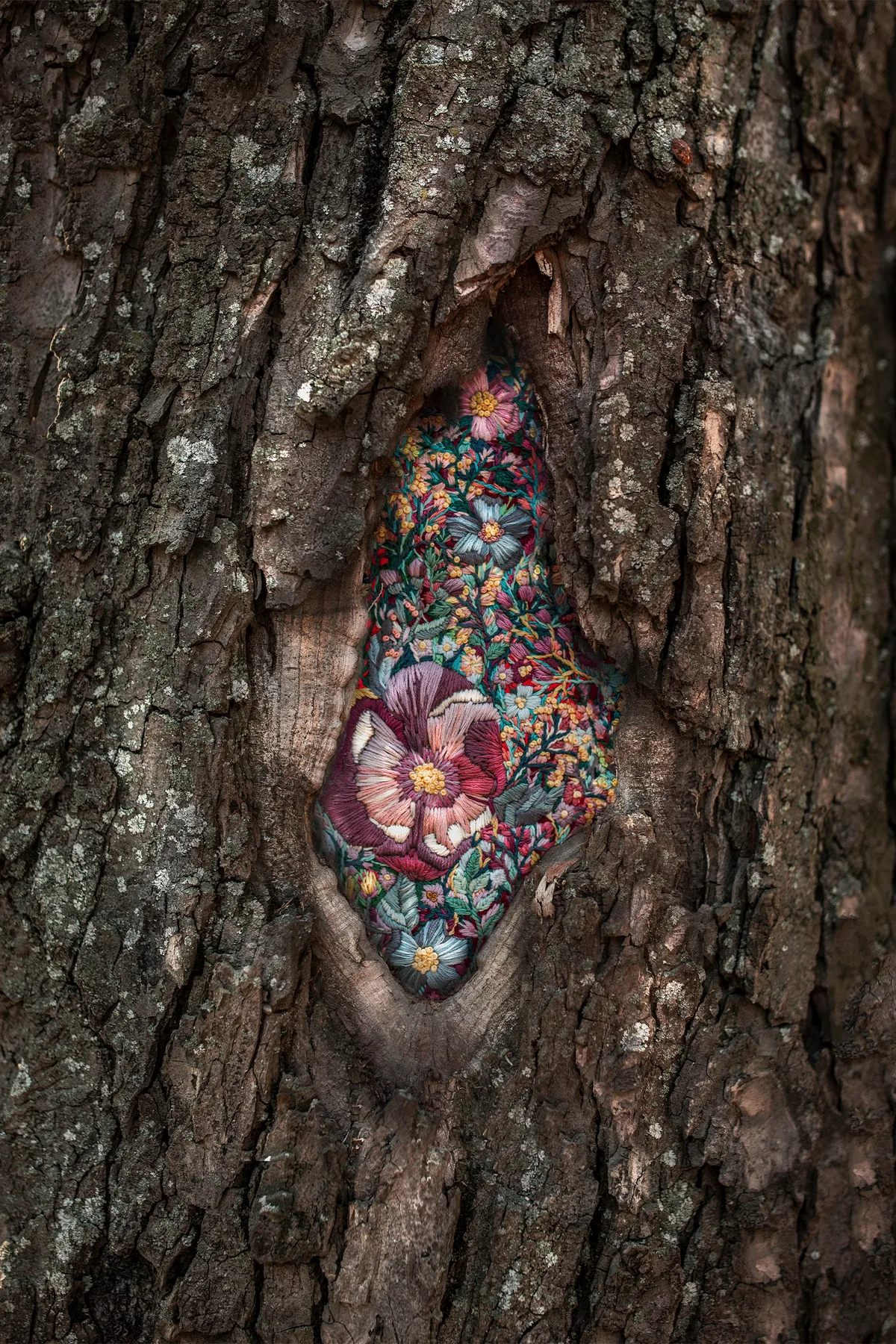 Life is breaking out of the mysterious hideaways