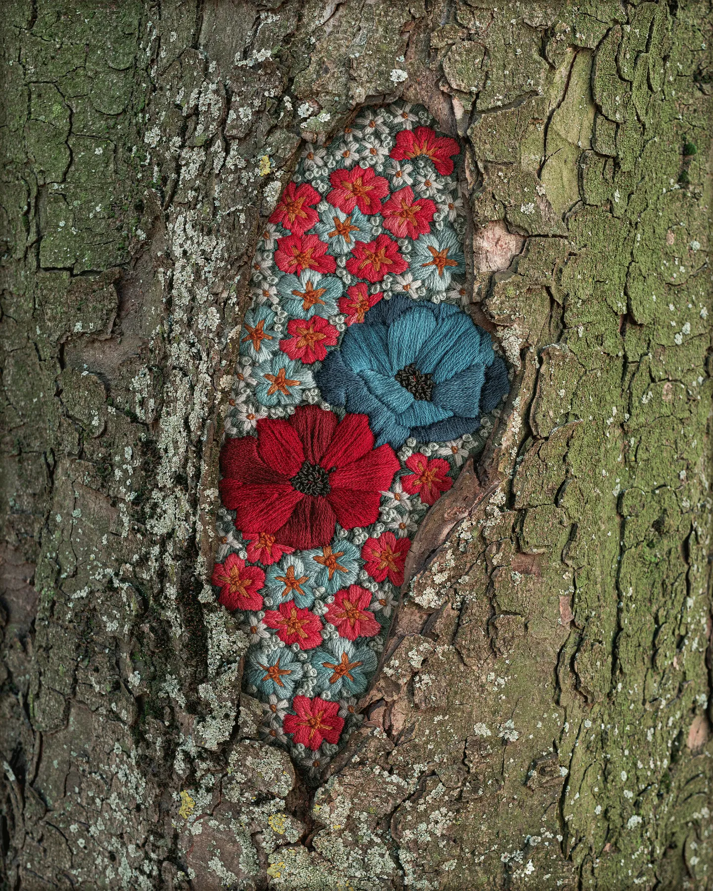 Hidden Wonders